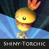 torchicshine